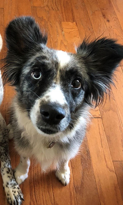 Payton Back to Her Loving & Energetic Self